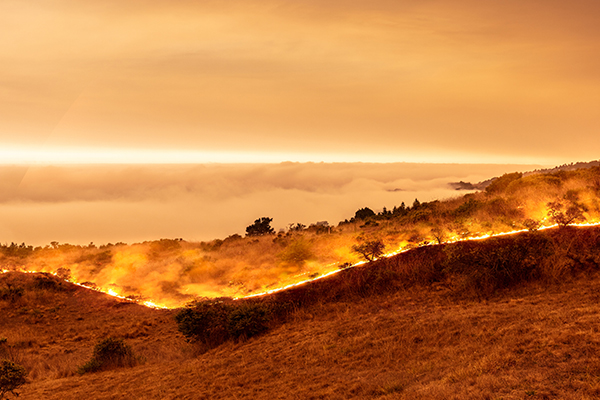 Image: WIldfire in California - California experiences wildfires regularly